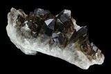 Dark Smoky Quartz Crystal Cluster - Brazil #124582-1